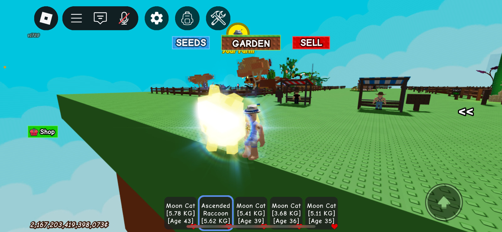 ⚡ ASCENDED RACCON ⚡ Roblox Grow a Garden | PC Digital In-Game Item | Low Price