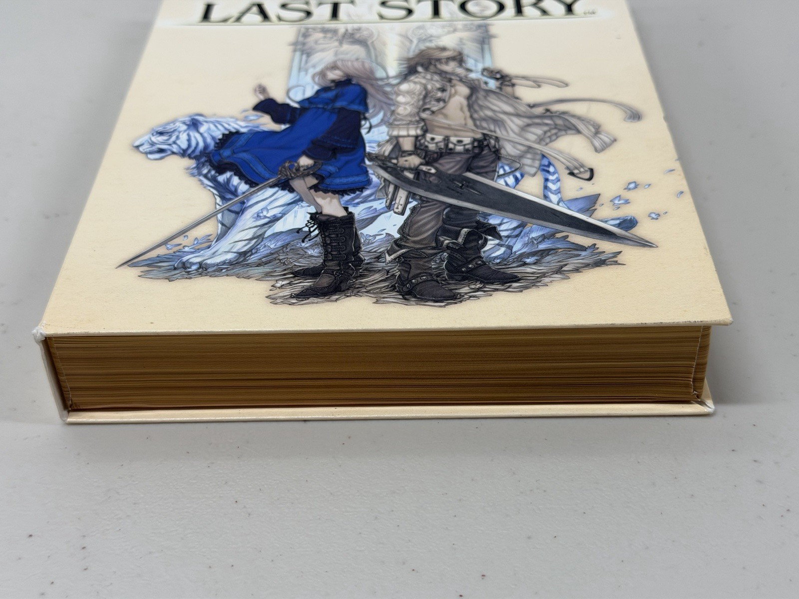 The Last Story (Nintendo Wii, 2012) COMPLETE IN BOX (CIB) W/ Art Book & Game!