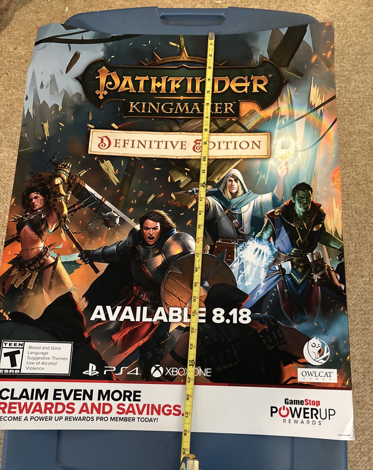 promotional Poster ￼Pathfinder: Kingmaker Xbox One & PS4 28in’s/22in’s Huge!