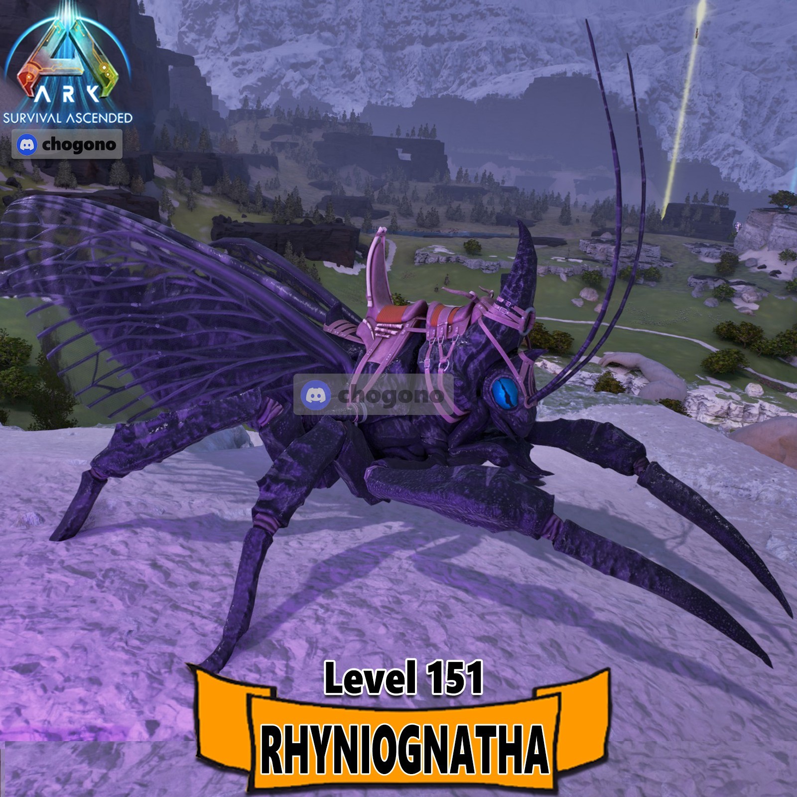 RHYNIO ARK Survival Ascended PC/PS5/XBOX PVE TOP HIGH STATS COLORED RHYNIOGNATHA