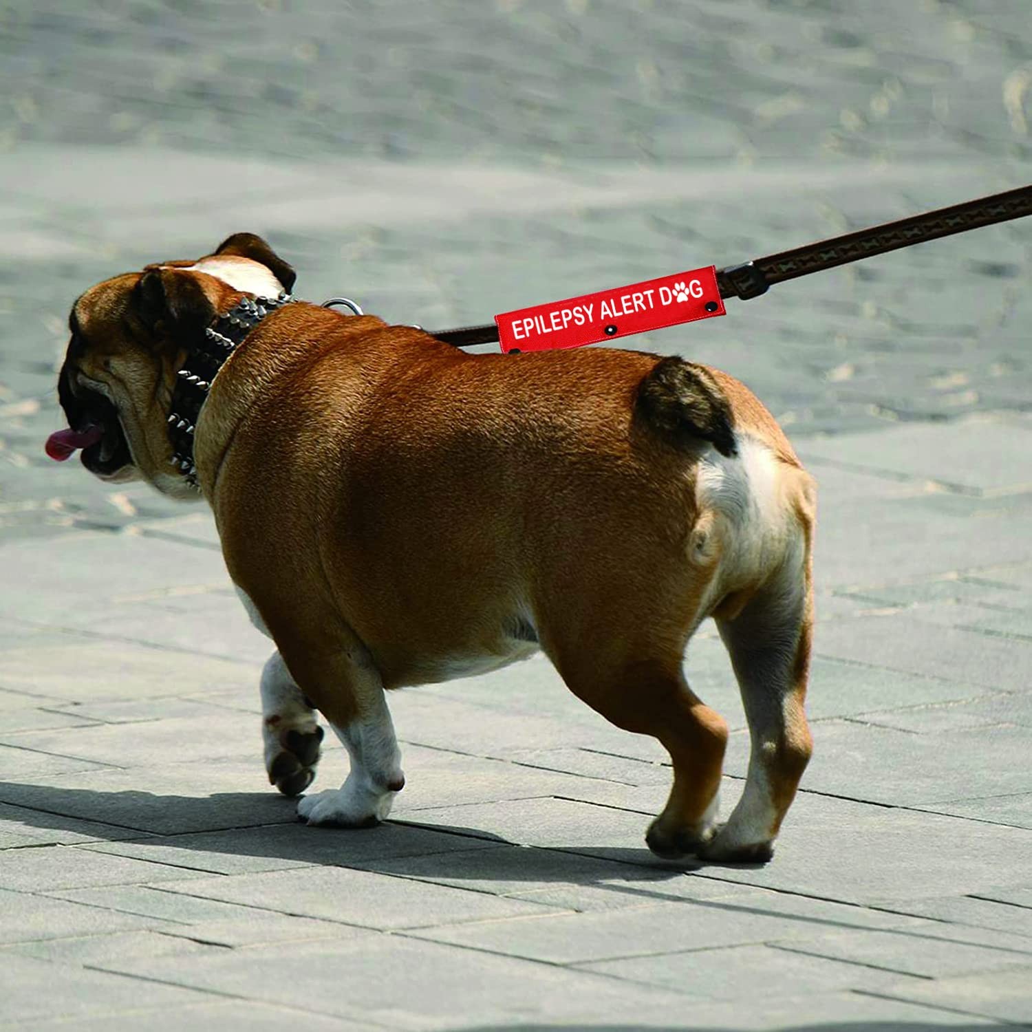 Emergency Medical Dog Leash Sleeve 8.7*2.4 inches, Epilepsy Alert-sleeve