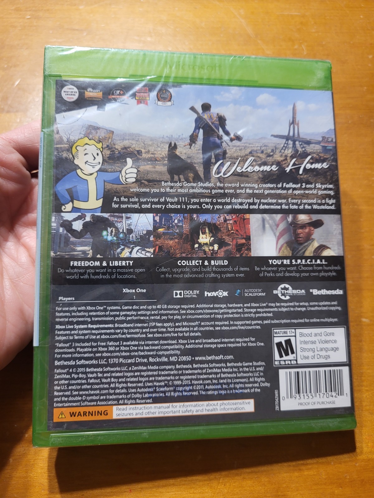 Xbox One Fallout 4 READ