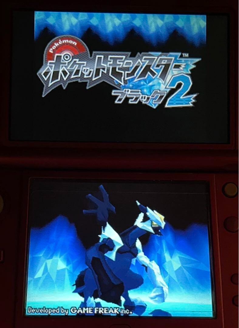 Pokemon Black 2 & White set Nintendo DS Japanese game Cartridge only