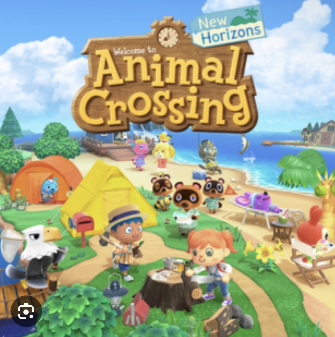 Animal Crossing: New Horizons – Nintendo Switch