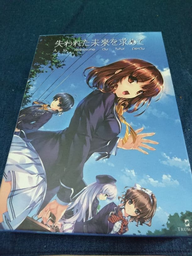Ushinawareta Mirai o Motomete First Press Limited Japanese VN PC Game USED