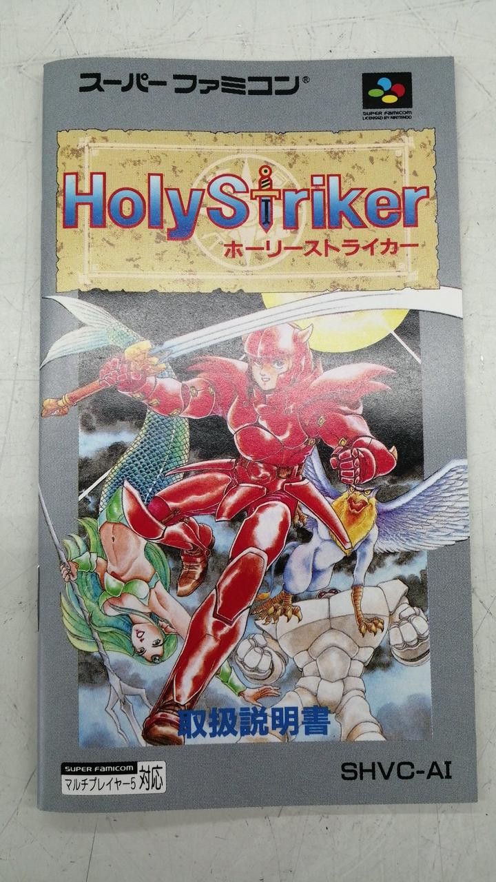 Holy Striker SHVC AI Hect