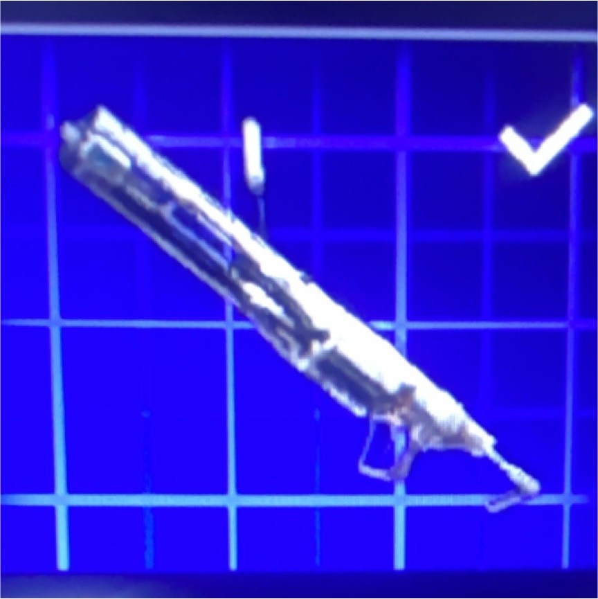 Video Game Weapon Selection Screen Digital Item for In-Game Use Virtual Asset