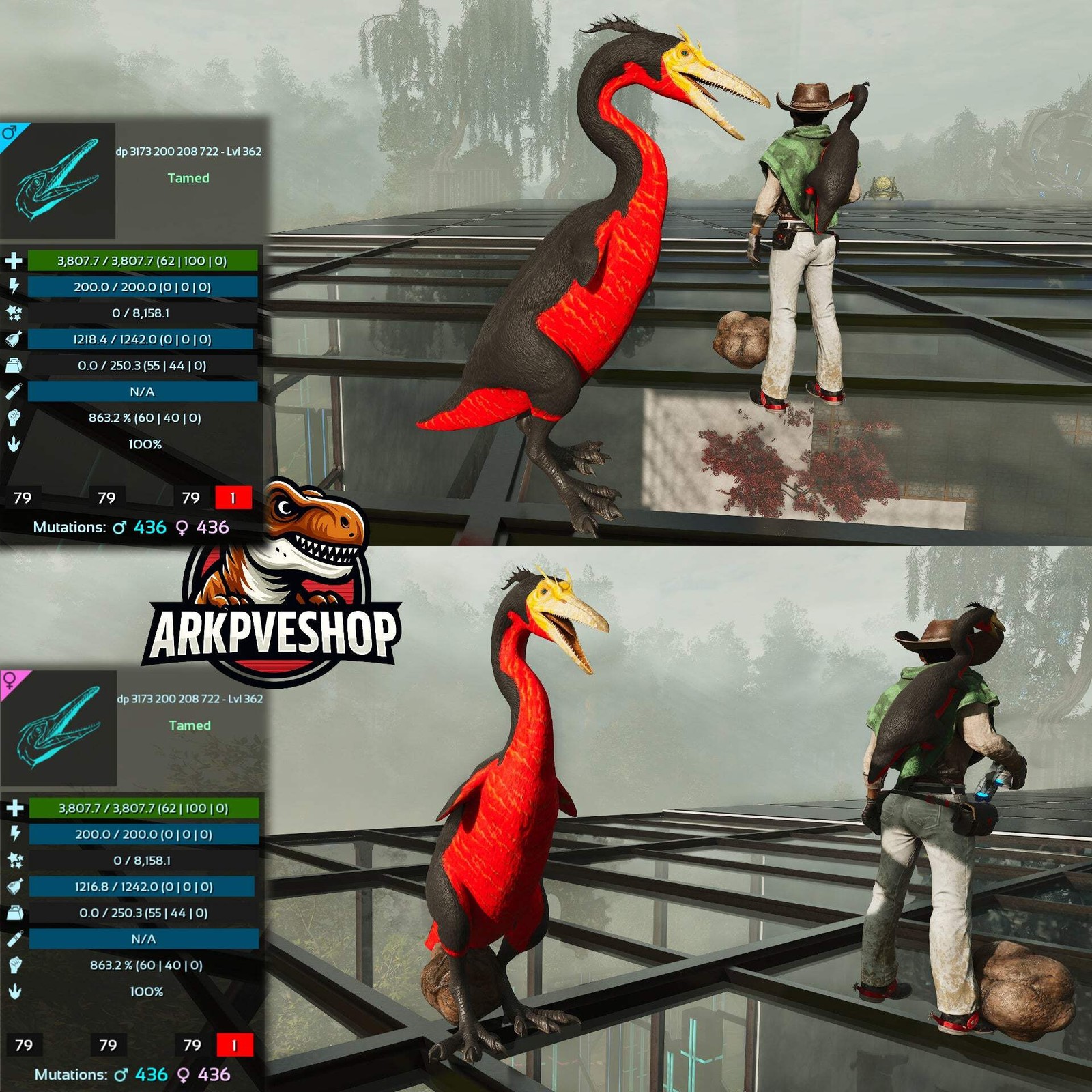 Hesperonis 863.2%melee Golden egg farmer ASA PVE 🦖ARK Survival Ascended