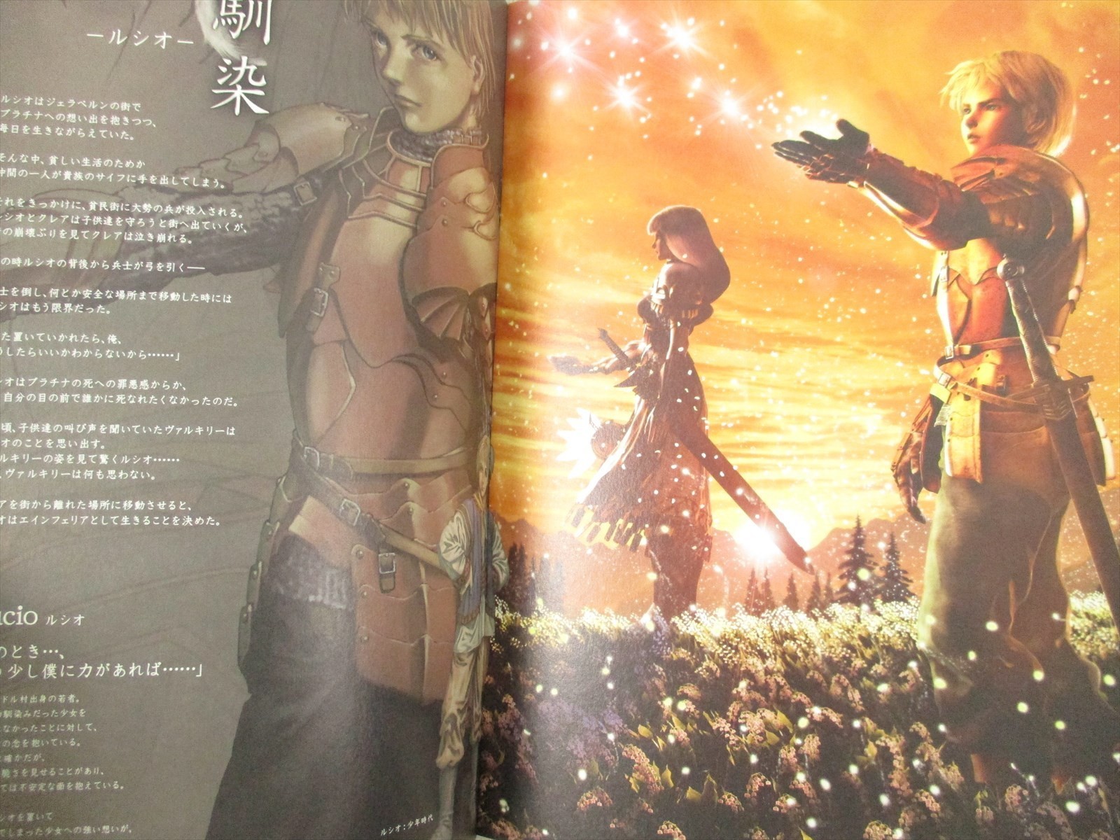 VALKYRIE PROFILE Lenneth Visual Profile Art Book Set 1 & 2 Works PS2 Ltd Booklet