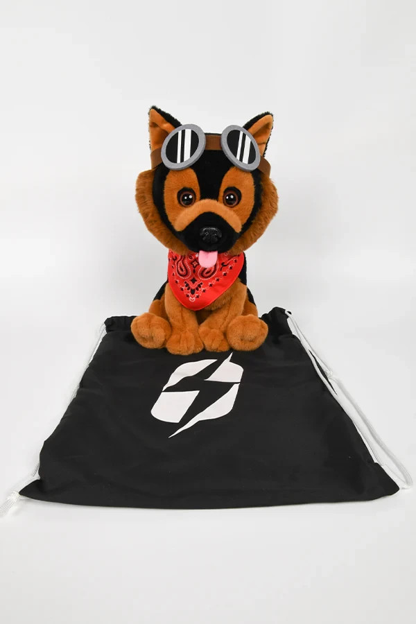 Fallout Dogmeat Toss Throw Blanket + Puppy Plush Companion Set