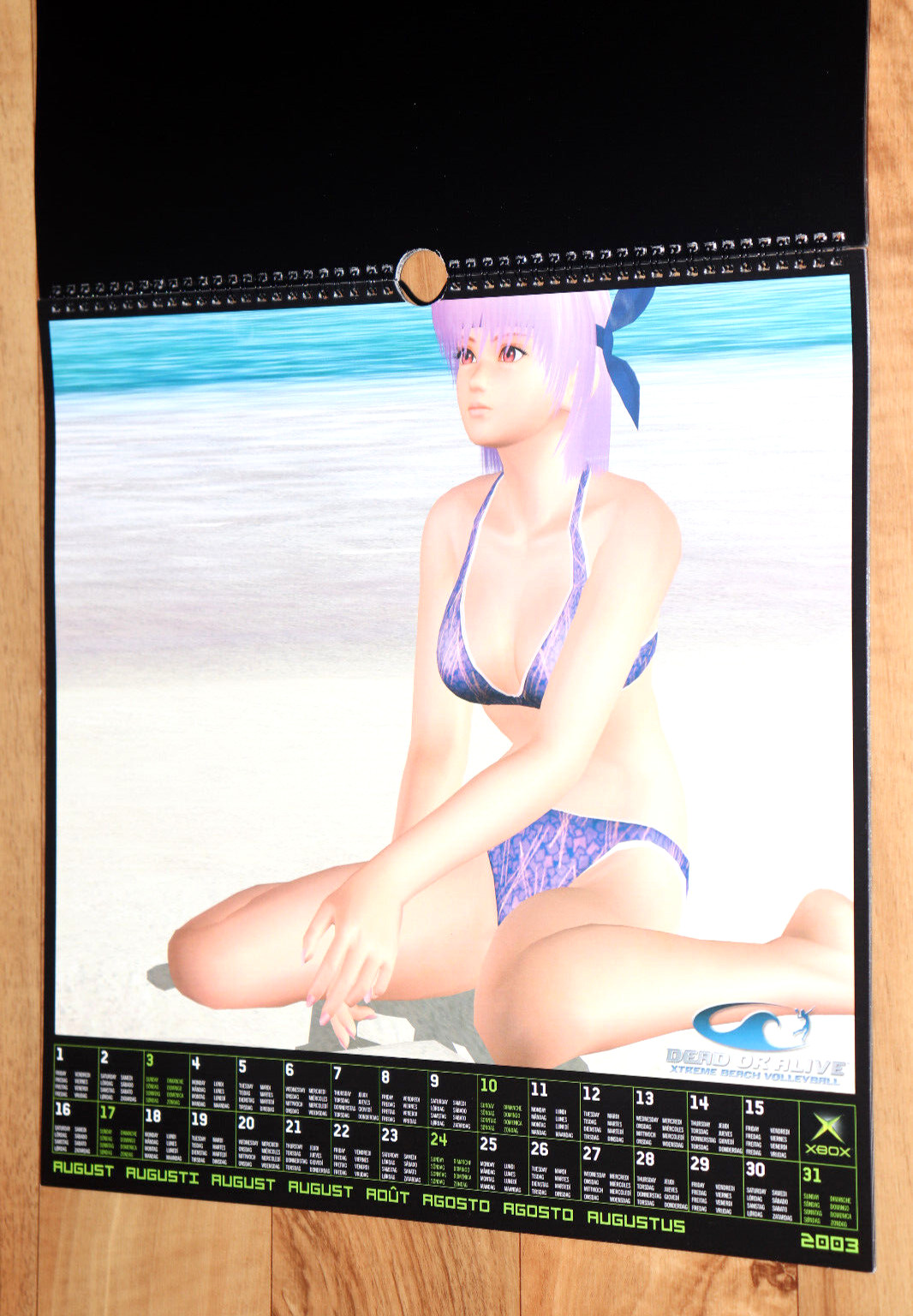 2003 Dead or Alive Xtreme Beach Volleyball Very Rare Calendar Collectible