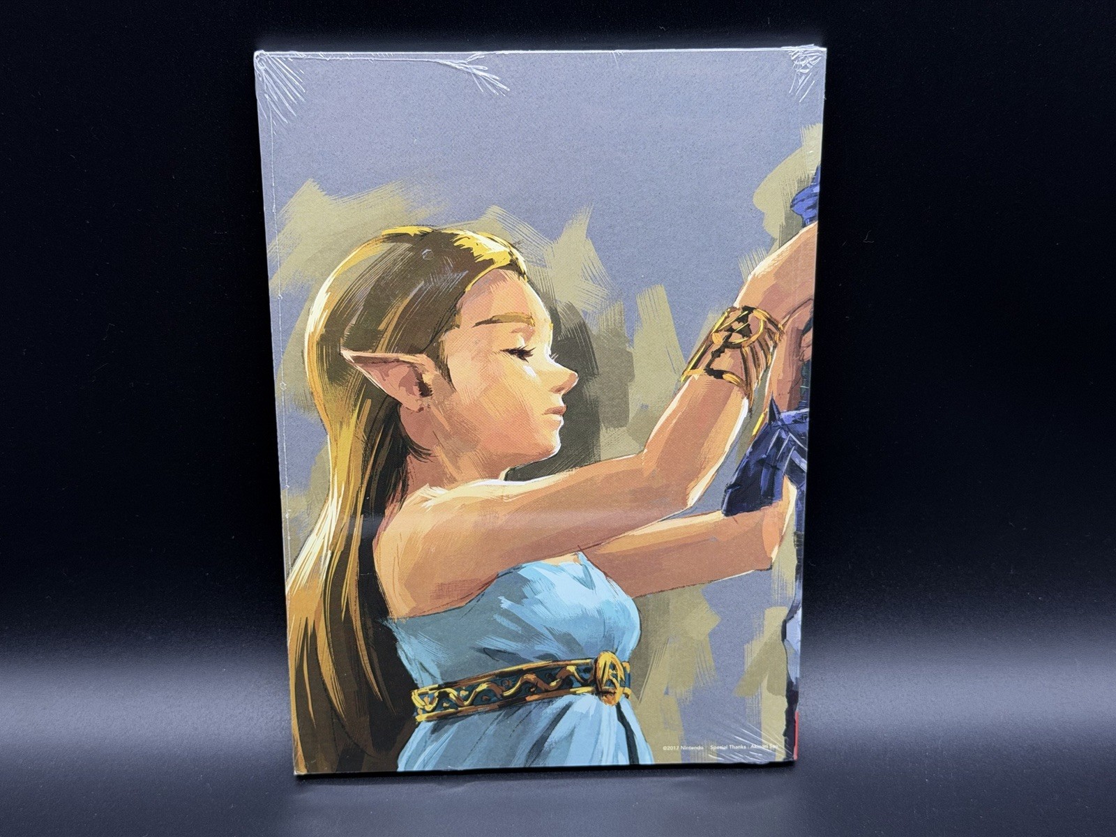 The Legend of Zelda Breath of The Wild Nintendo Official Korea Exclusive Guide