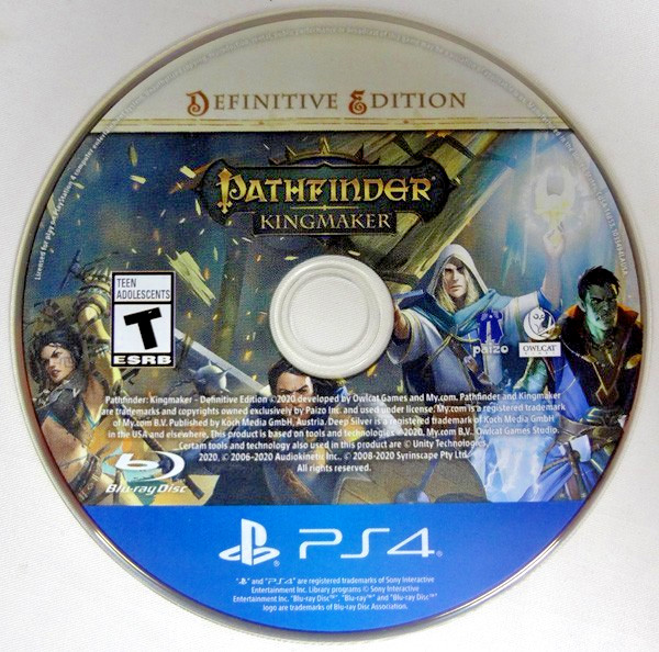 Sony PlayStation 4 PS4 Pathfinder: Kingmaker Definitive Edition Video Game!