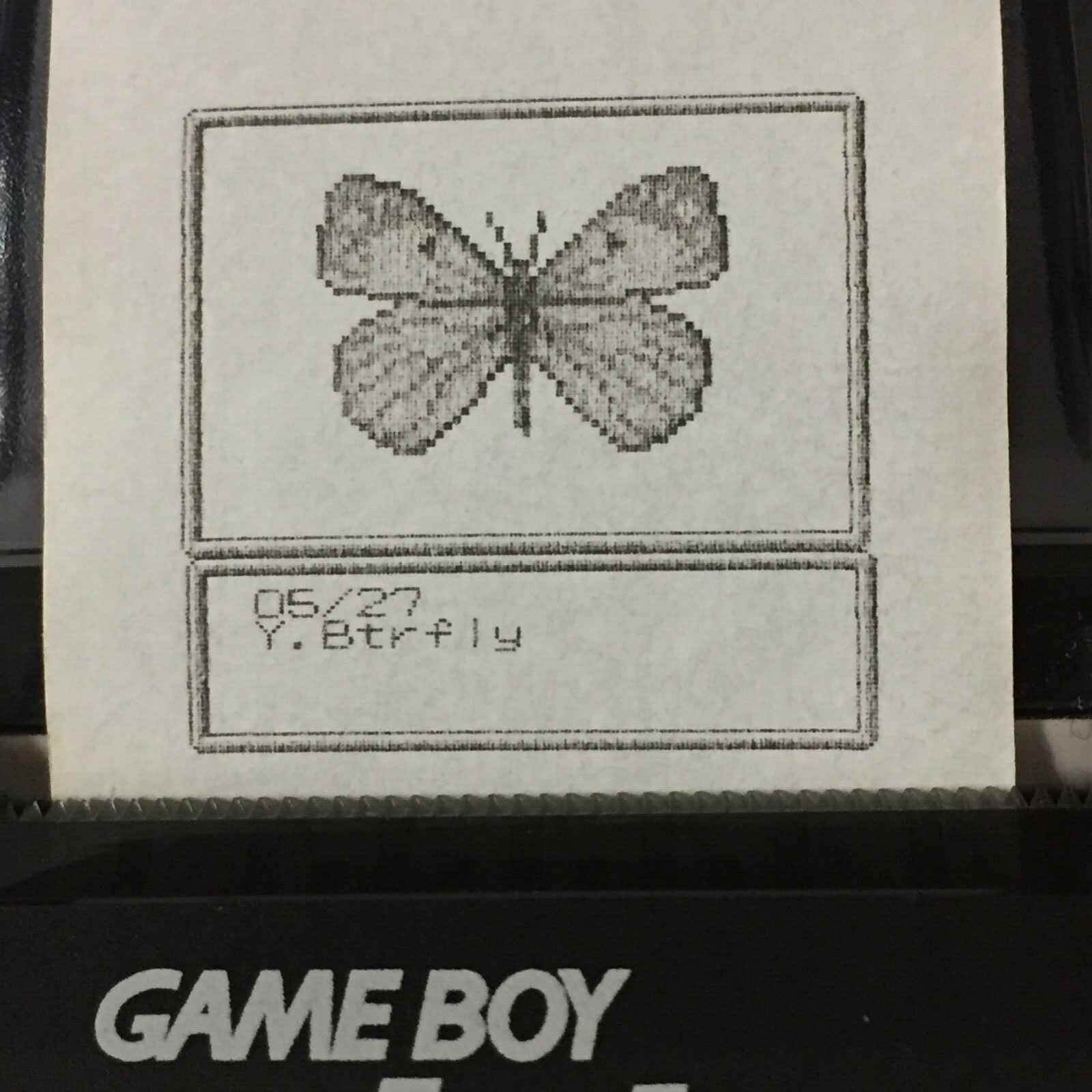 Harvest Moon 2 (GBC) ALL Photos – Game boy Printer Print-outs (64)