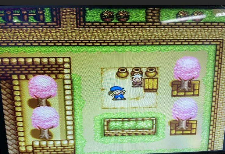HARVEST MOON FOR THE SUPER NINTENDO GAMING CONSOLE (SNES) (1997) US VERSION