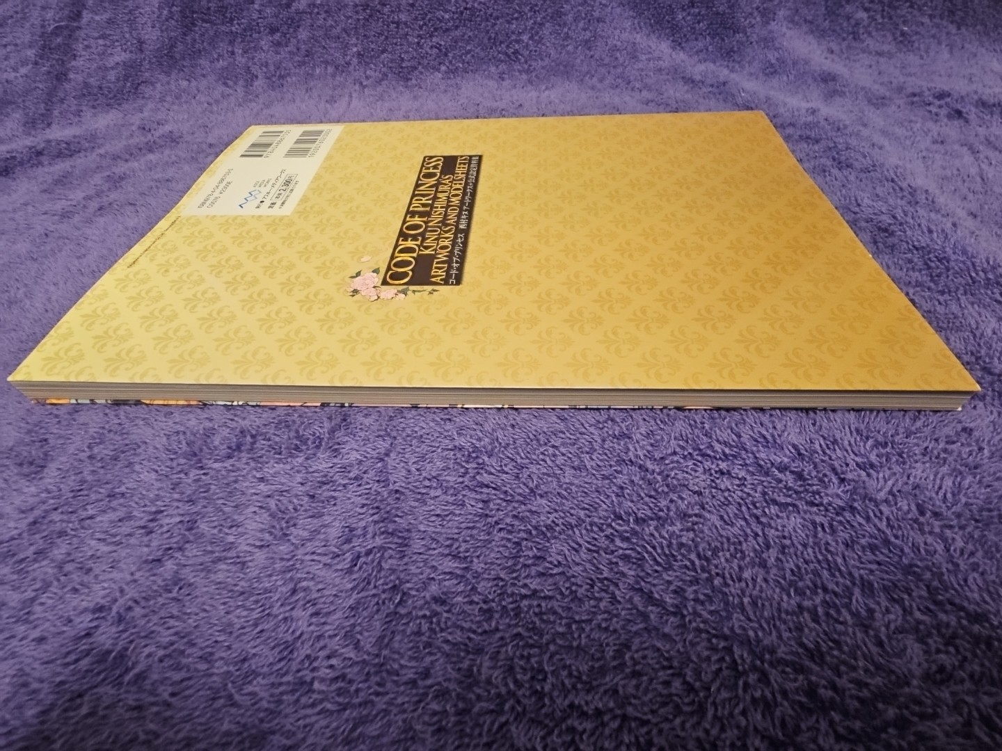 CODE OF PRINCESS Official Art Works KINU NISHIMURA 3DS Book 2012 US Seller