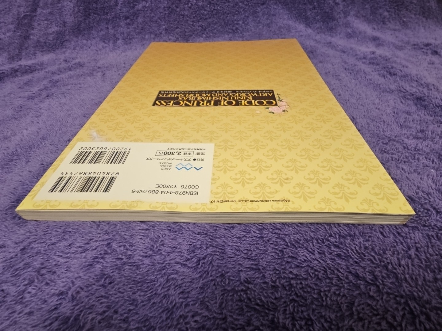 CODE OF PRINCESS Official Art Works KINU NISHIMURA 3DS Book 2012 US Seller