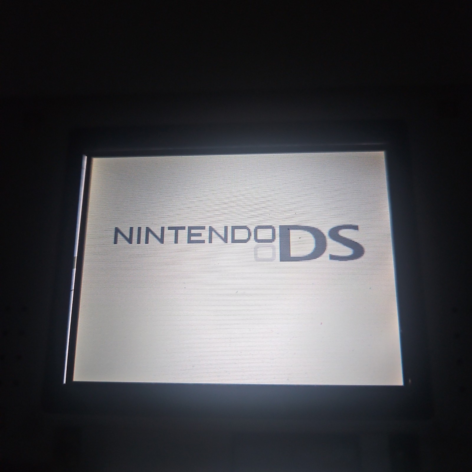 Nintendo DS – Titanium – JPN Region Free – Tested & Working W/ Charger (NOTES)