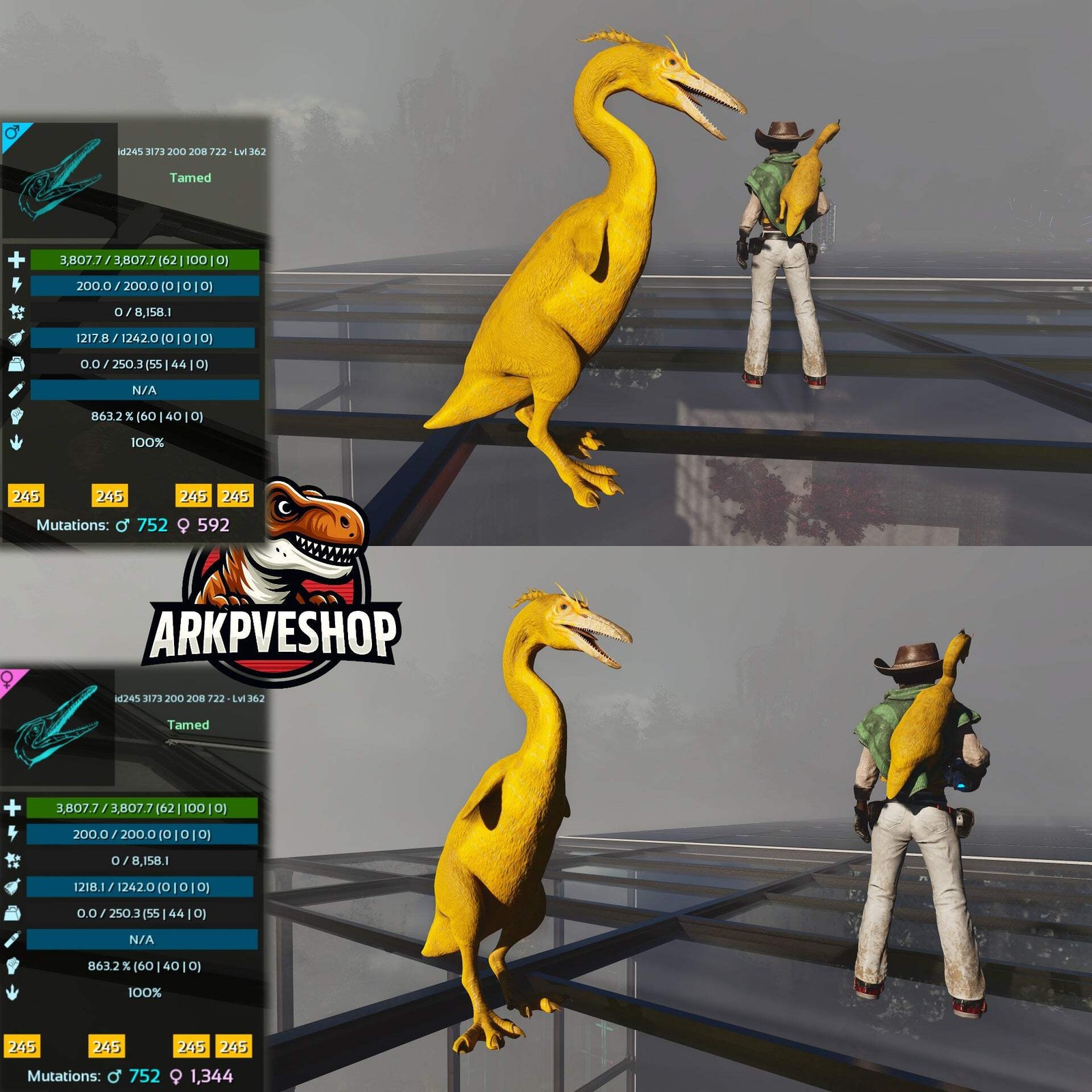 Hesperonis 863.2%melee Golden egg farmer ASA PVE 🦖ARK Survival Ascended