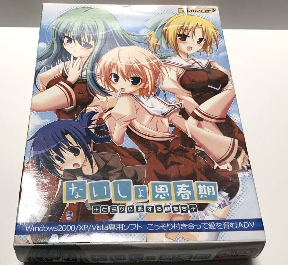 Naisho Shishunki ~Himitsu ni Koi Suru Imouto-tachi~ VN PC Game Software