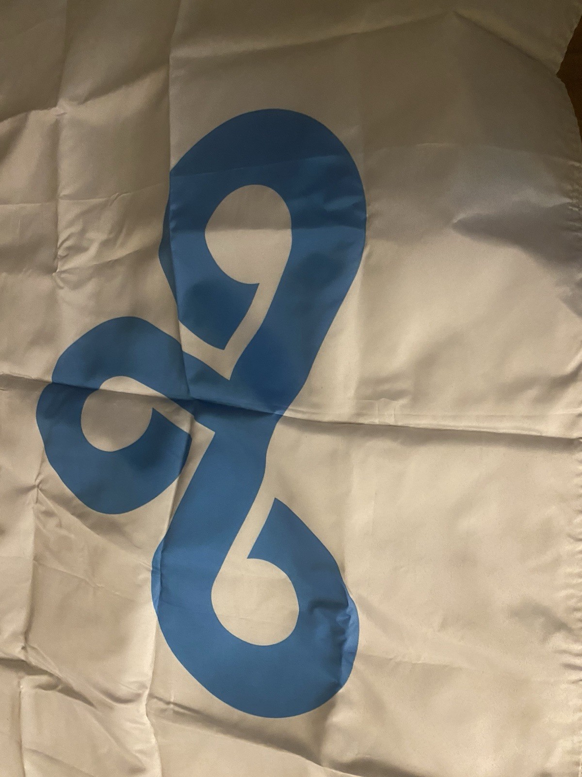 Cloud9 Esports Team Logo Flag Blue and White