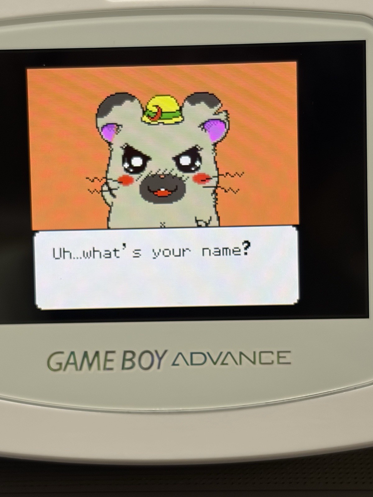 Hamtaro: Ham-Hams Unite (Nintendo Game Boy Color-GBC-TESTED-NEW BATTERY-NICE!!