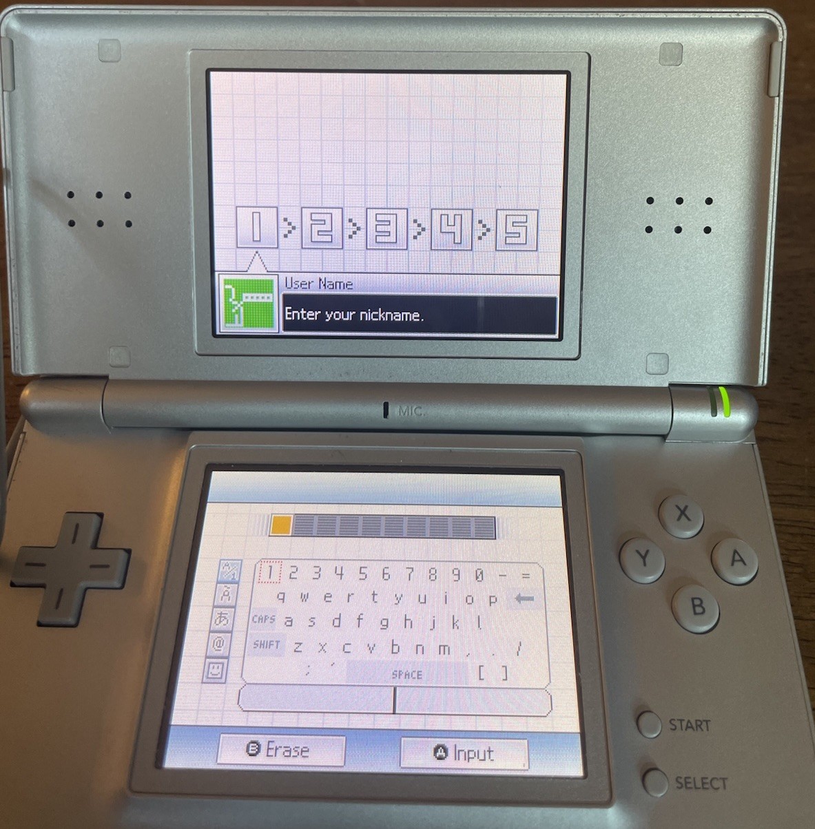 Nintendo DS lite Silver Console (USG-001), 14 DS Games Tested