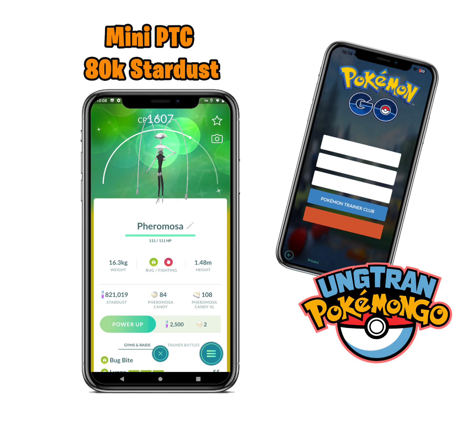 Shiny Pheromosa – mini P T C 100k stardust
