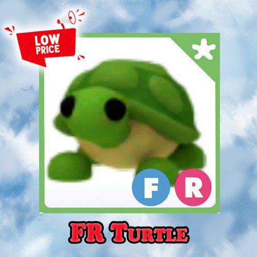 FR Turtle – Adopt right now