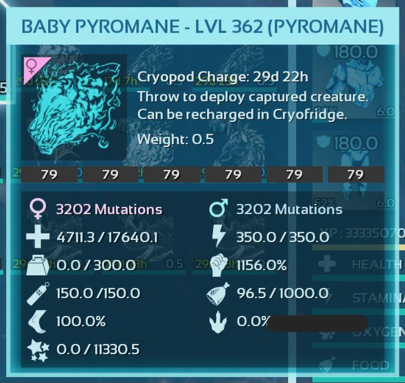 ARK ASCENDED PVE OFFICIAL PAIR BABY PYROMANE BLACK #79 HIGH STATUS PC/XBOX/PS5
