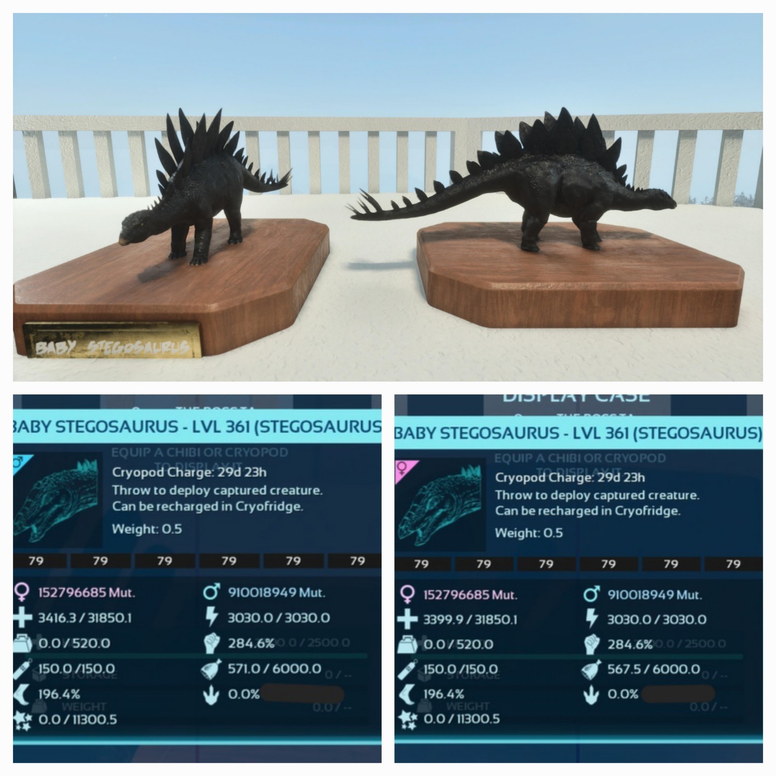 ARK ASCENDED PVE OFFICIAL PAIR BABY STEGO BLACK ID79 TOP STATUS PC/XBOX/PS5