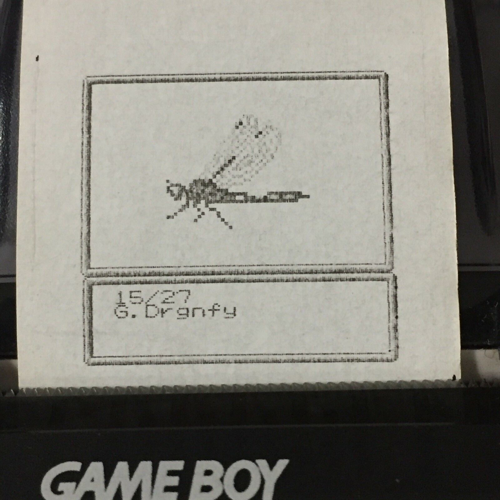 Harvest Moon 2 (GBC) ALL Photos – Game boy Printer Print-outs (64)