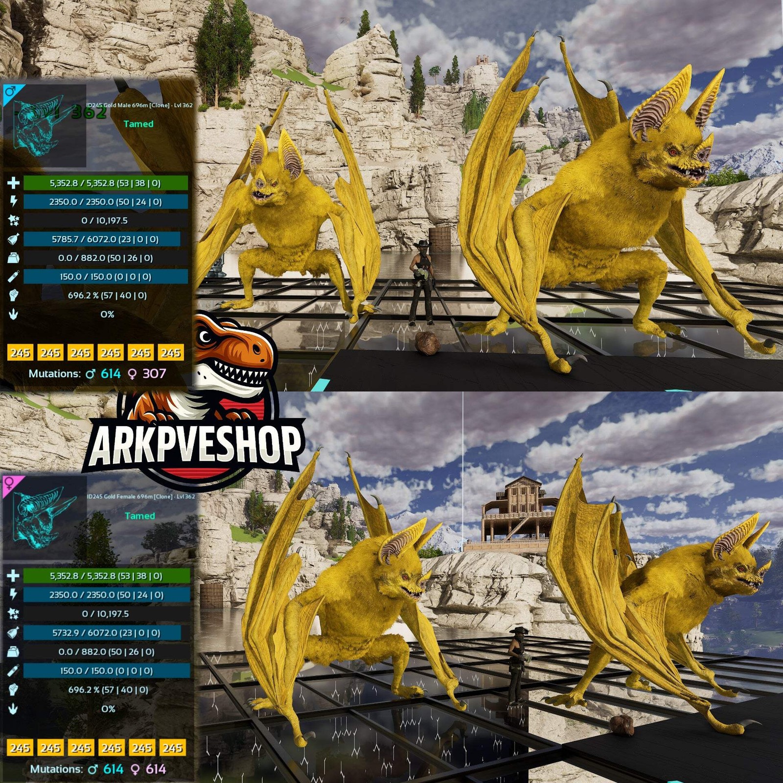 Desmodus Lvl362 696Melee Clone ASA PVE 🦖ARK Survival Ascended