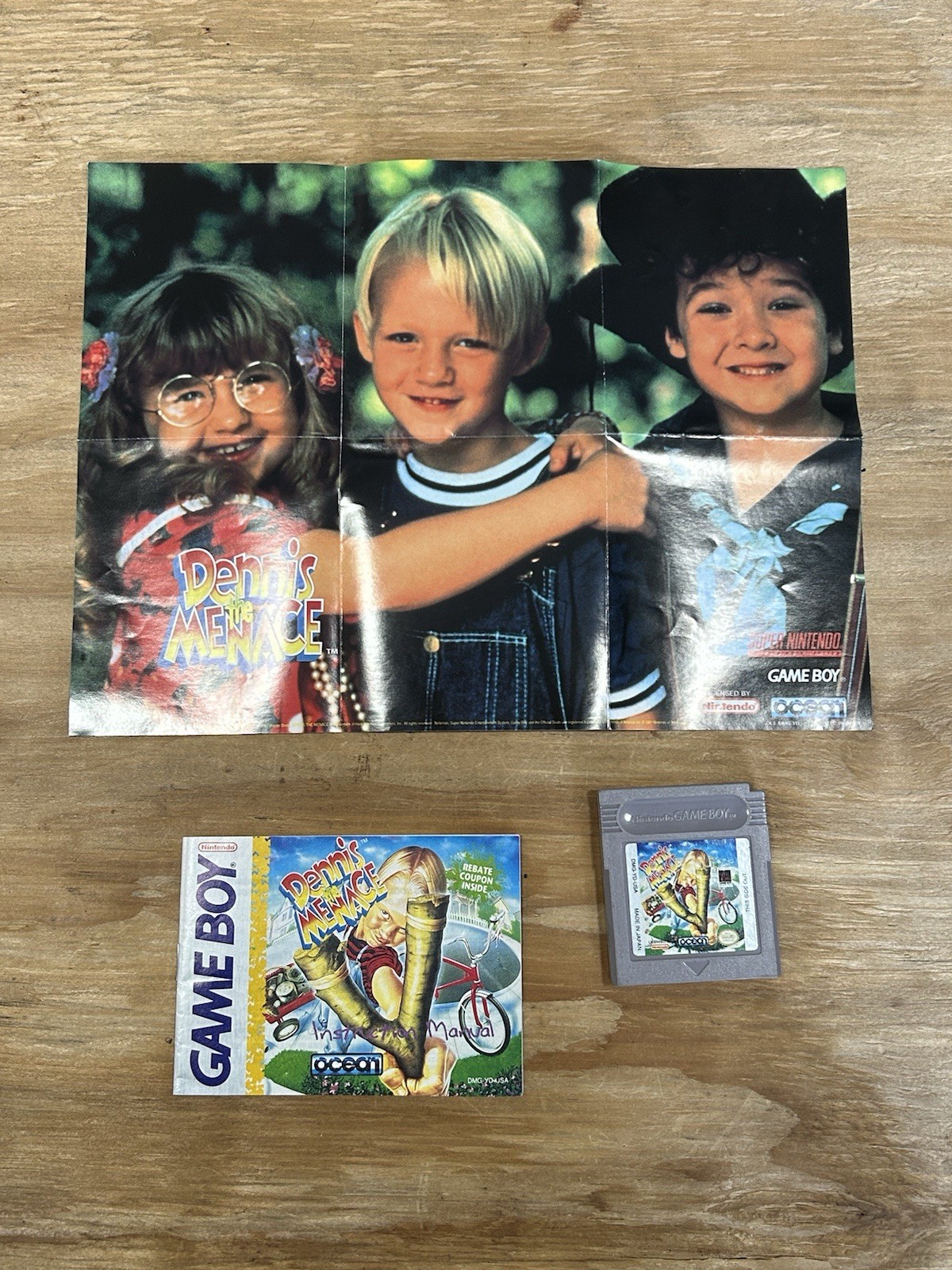 Dennis the Menace Nintendo Game Boy, 1994 Game Cartridge Poster & Manual Tested