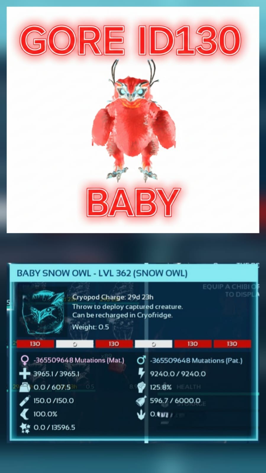 Ark Survival Ascended Pve Official Snow owl Baby [9K Stam ] Lvl362 Pc/Xbox/Ps5