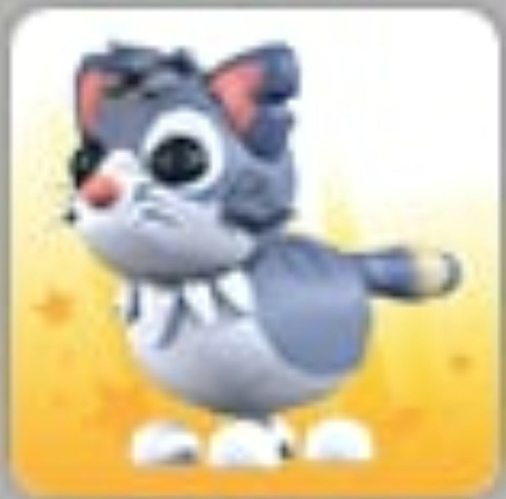 Alley Cat | Adopt Now
