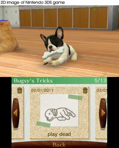 Nintendogs + Cats: Golden Retriever and New Friends (World Edition)