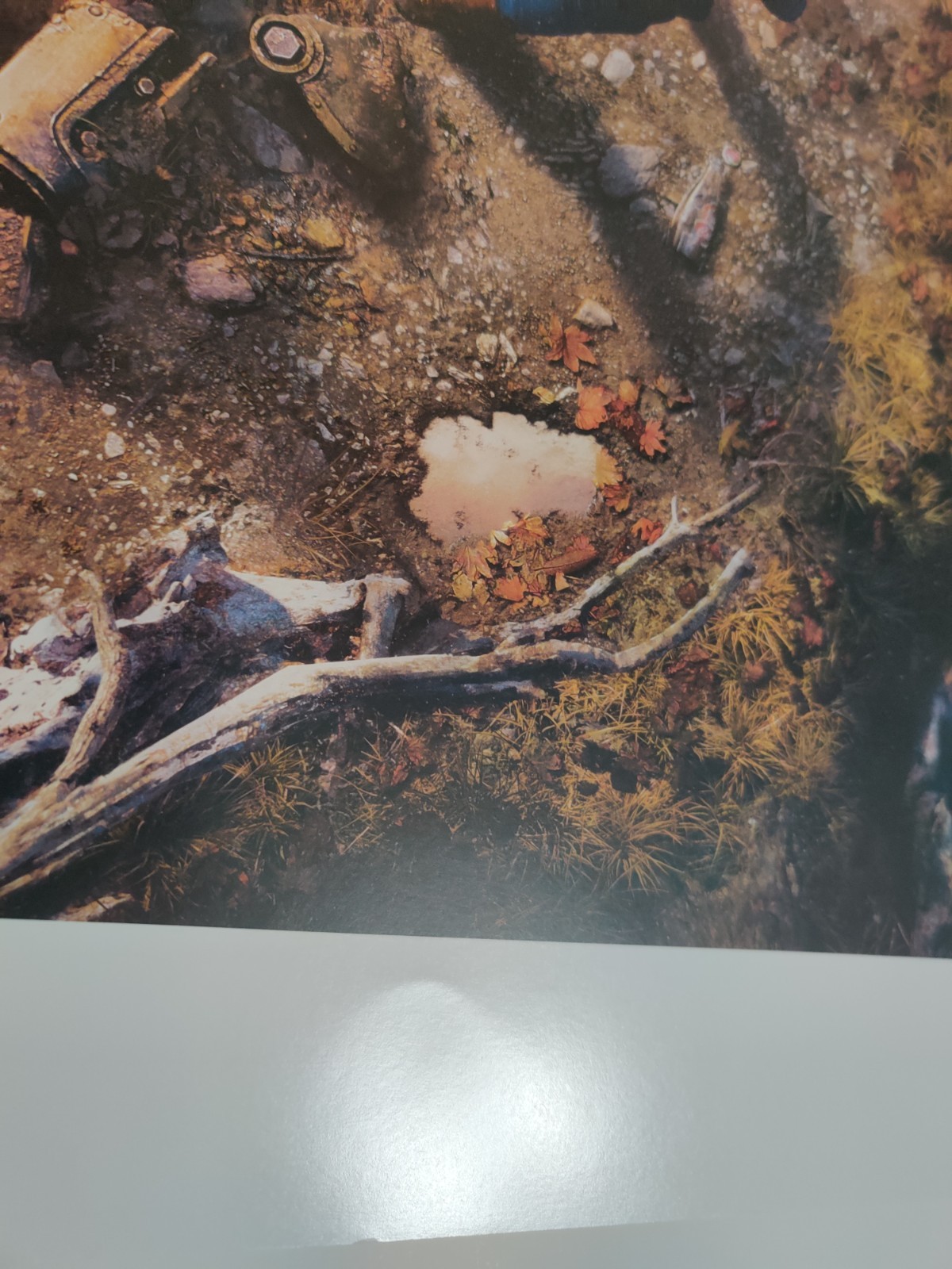 Fallout 76 The Relic Lithograph Limited Edition #286/400