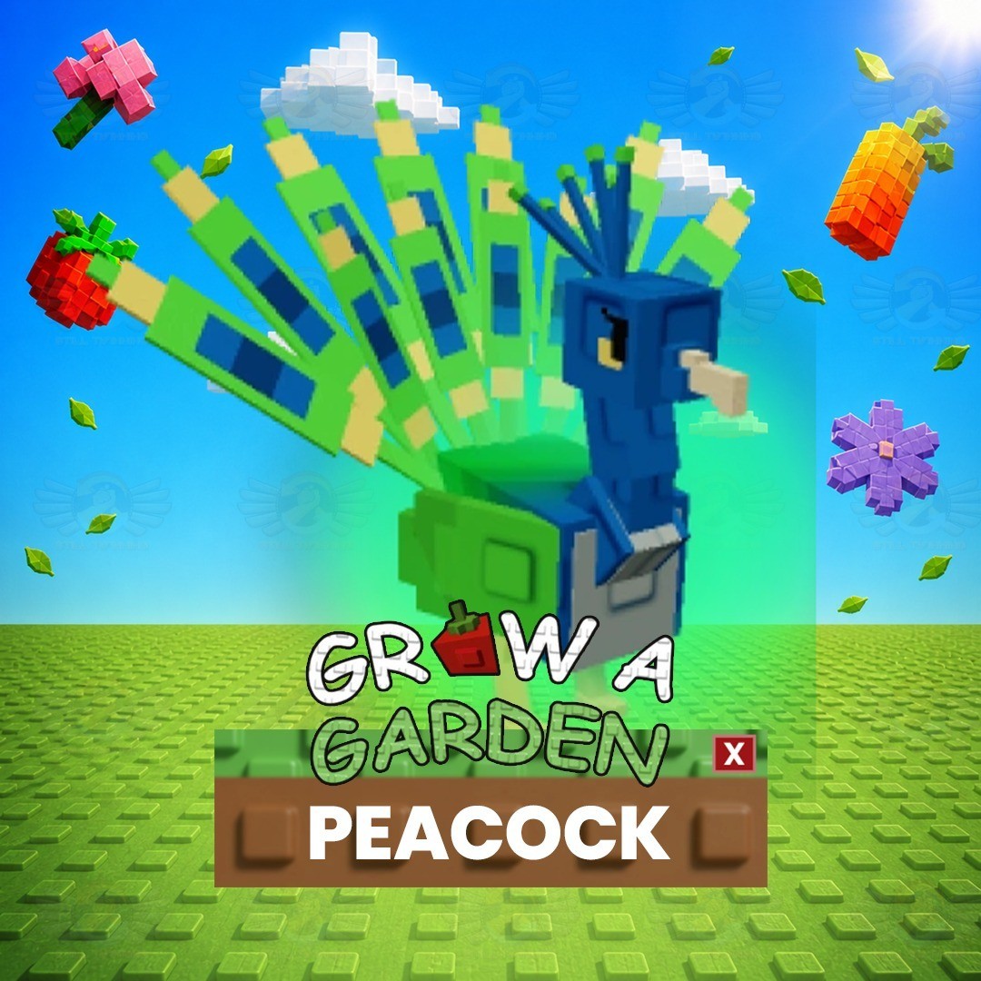 Peacock – Grow a Garden