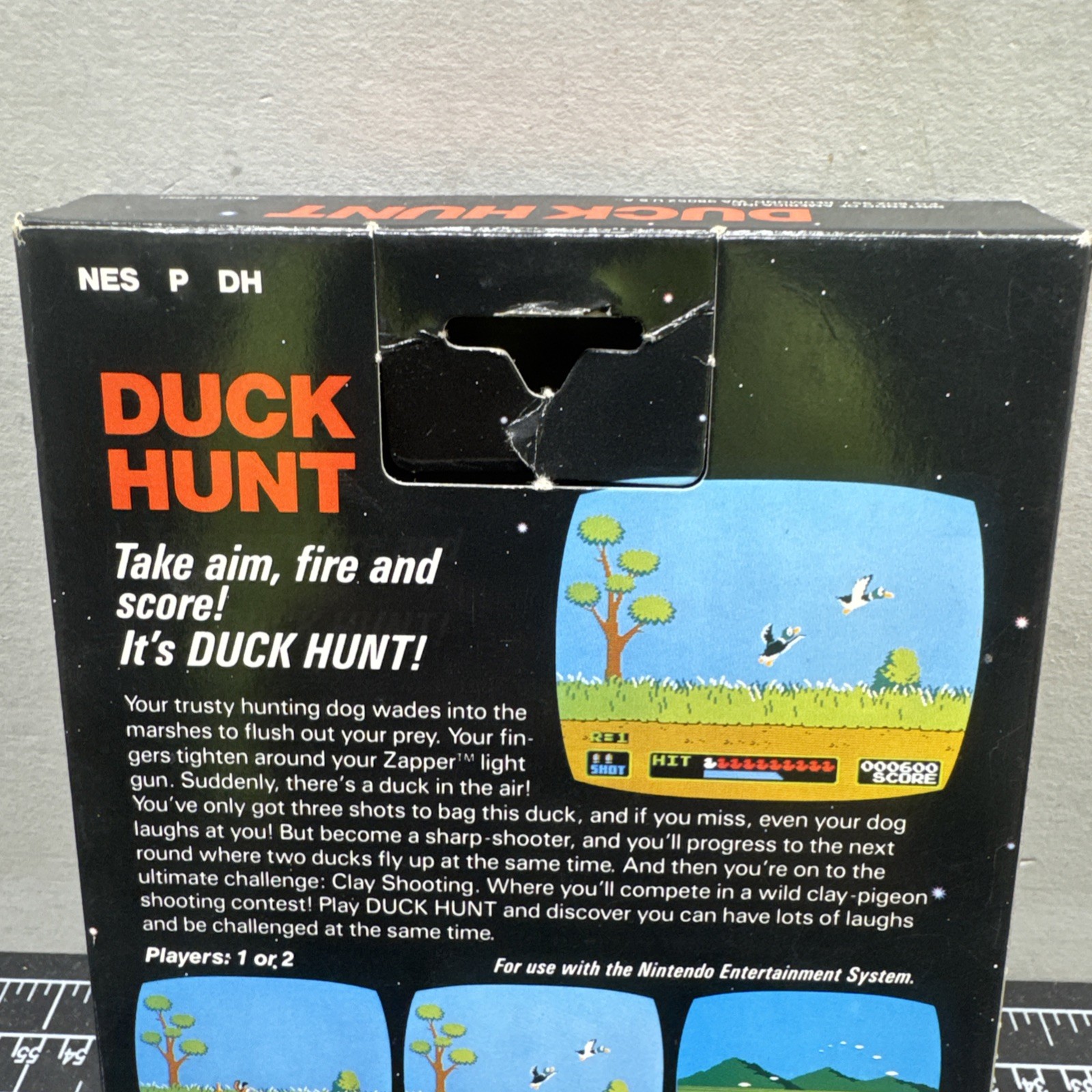 DUCK HUNT Nintendo NES CIB W/5 Screws/Manual/Hangtab/Poster/Zapper D3