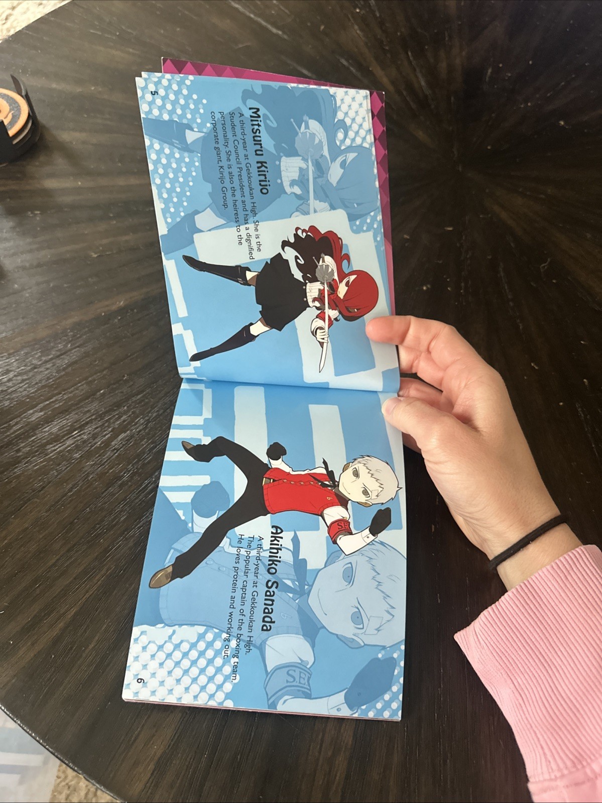 Nintendo 3DS Collector’s Edition Persona Q Shadow of the Labyrinth ART BOOK Only