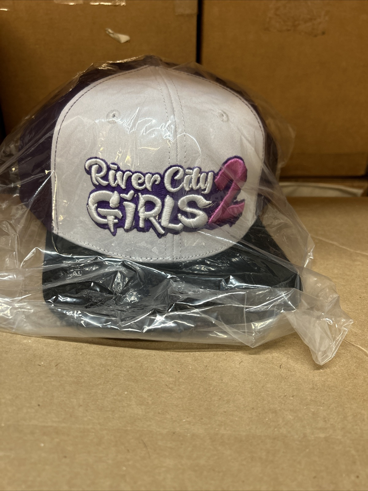 River City Girls 2 Snapback Hat – Brand New, Limited Run