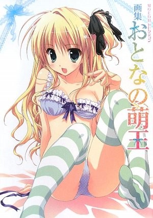MOEOH Selection Artbook Adult Moeoh Japanese