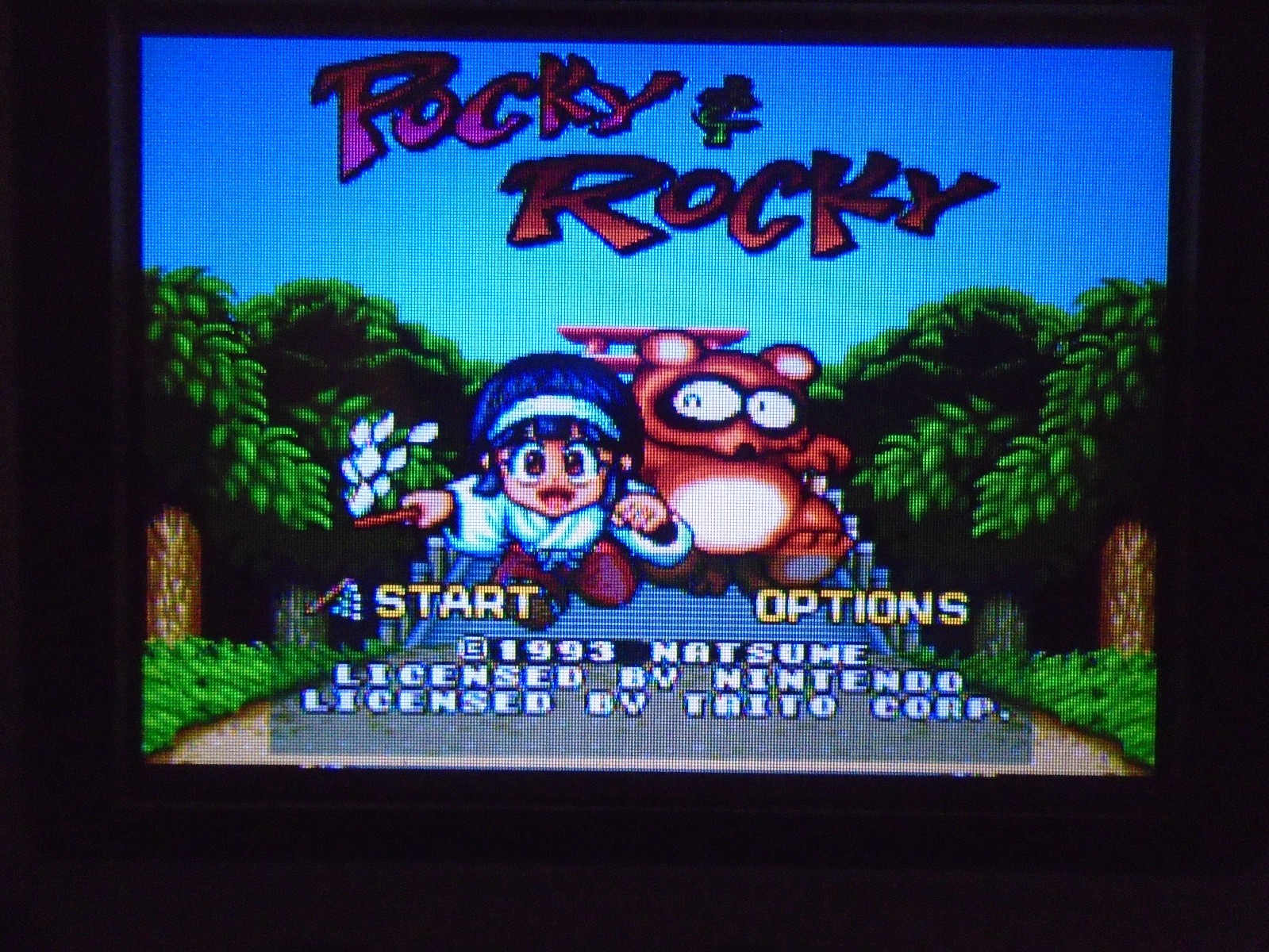 Pocky & Rocky 1 and Pocky & Rocky 2 by Natsume ☆☆ Authentic Super Nintendo SNES