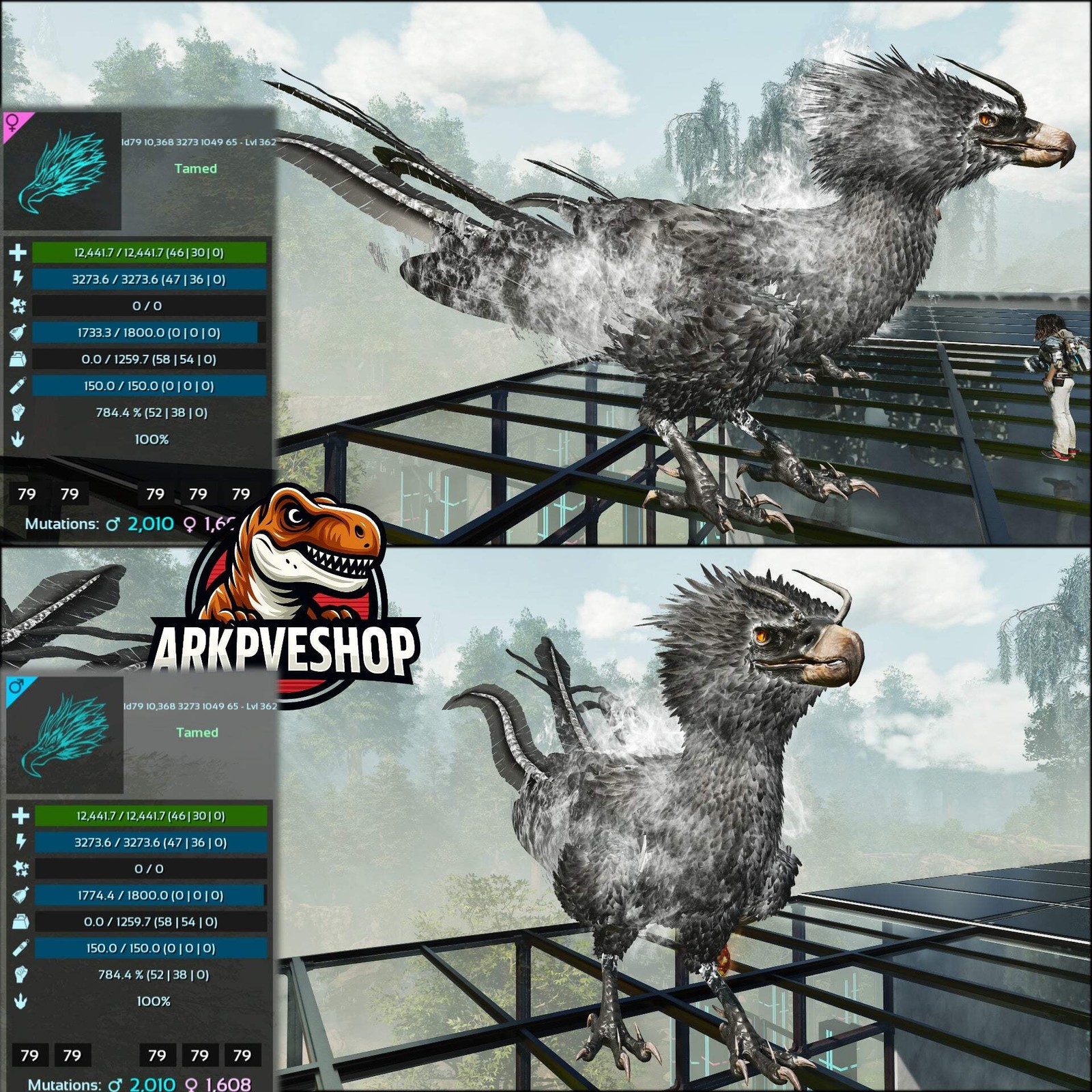 Phoenix Lvl 362 ASA PVE 🦖ARK Survival Ascended