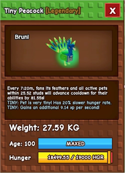 Tiny Peacock Age 100 ‼️🌱🪴Grow A Garden🌿⚡CHEAPEST ‼️⚡FAST DELIVERY‼️