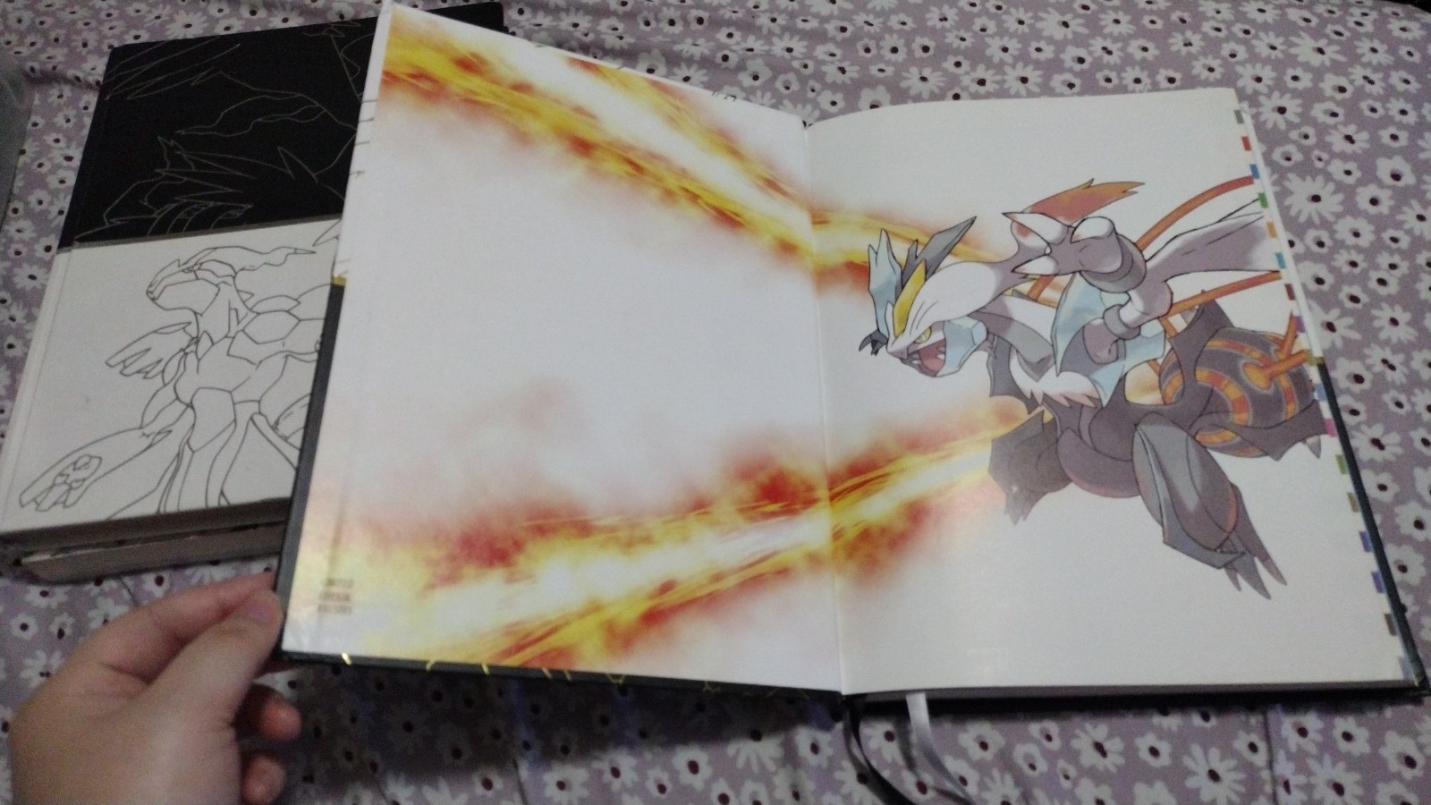 Pokemon Black & White LTD Collector’s Edition Strategy Guide & Unova Pokedex
