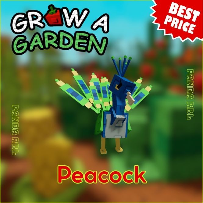 Peacock – Grow A Garden | GAG | Cheapest