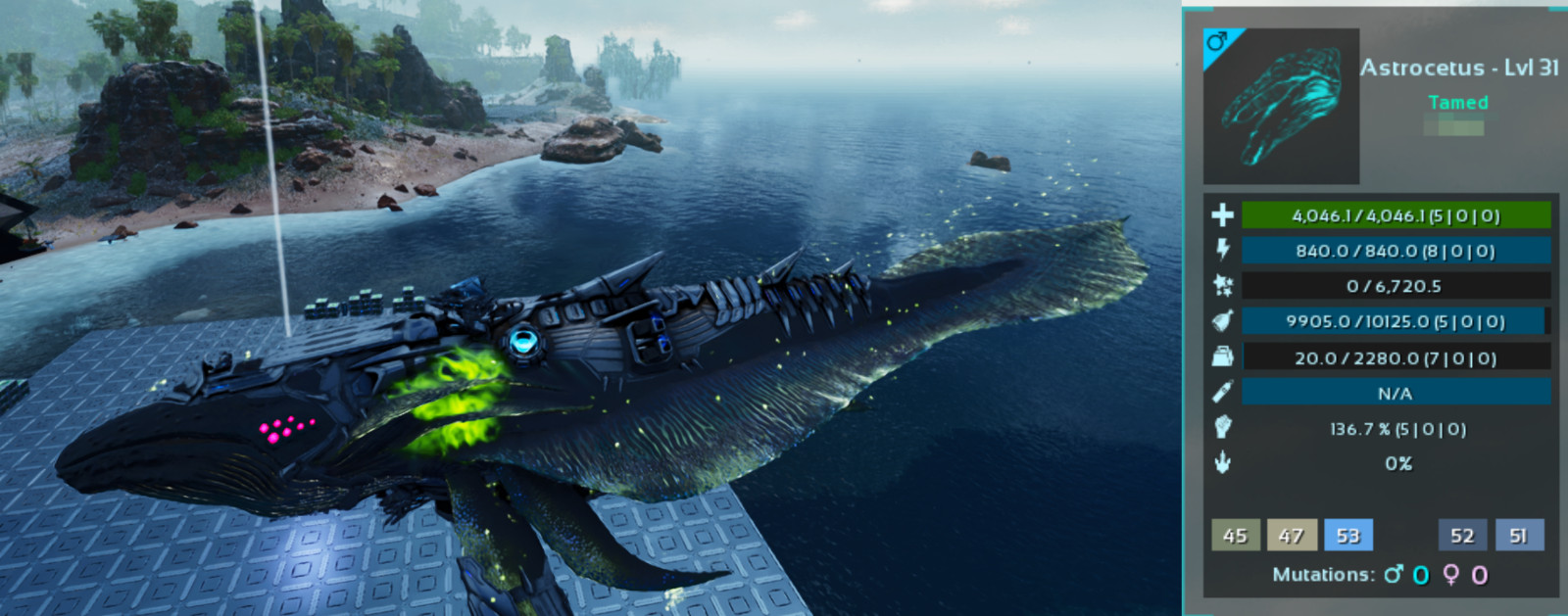 ARK Survival Ascended Astrocetus Male/ Female ASA PVE PC/XBOX/PS