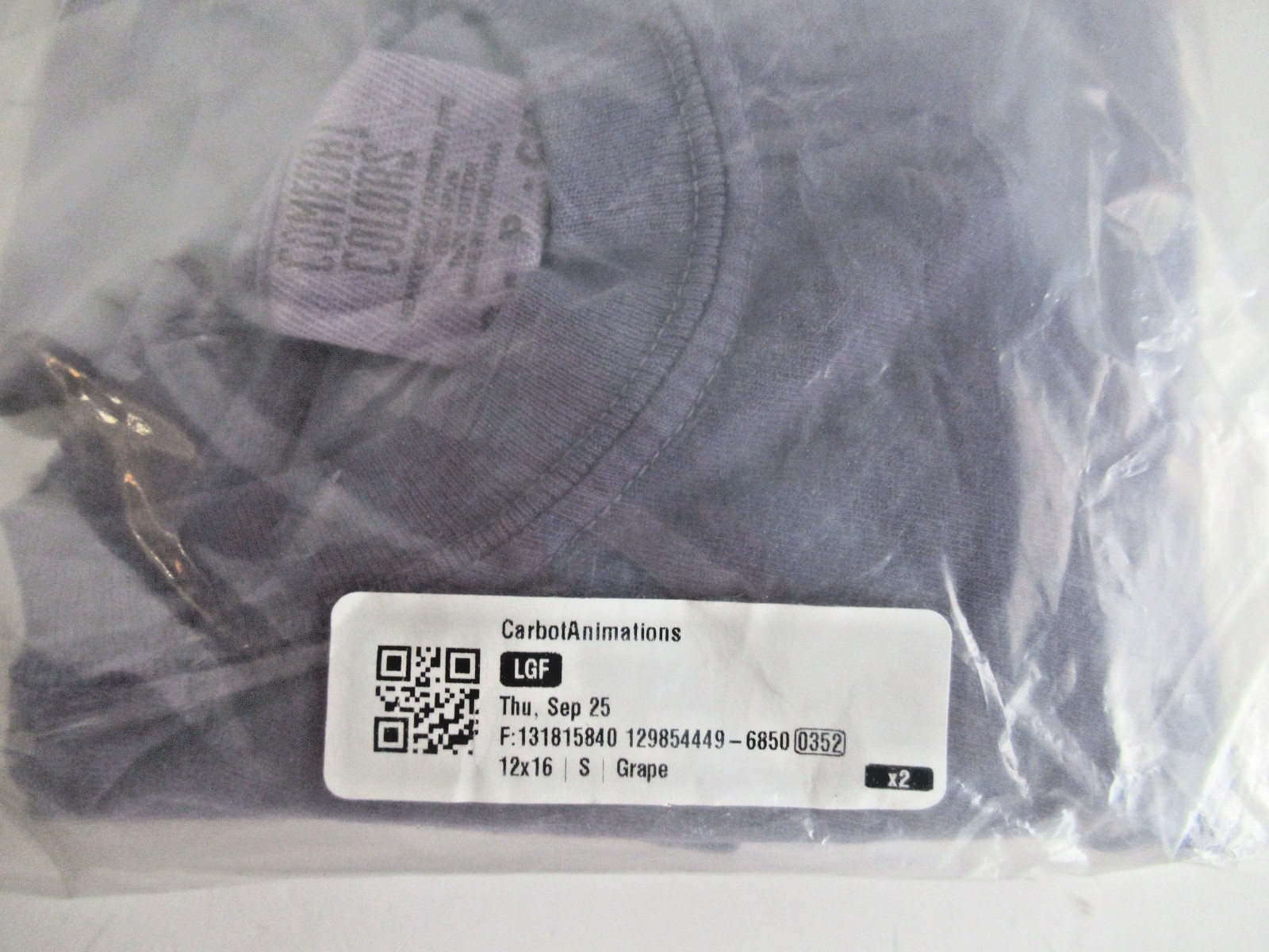 Esquie Clair Obscur Expedition 33 T-Shirt Cabot Animations VersoEnding 12″ x 16″